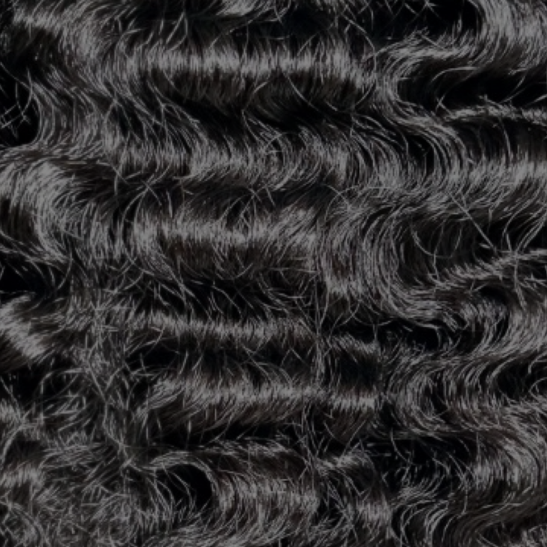 BURMESE CAMBODIAN CURLY